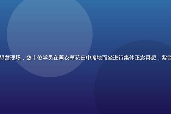 久久天堂2026夏季冥想营现场，数十位学员在薰衣草花田中席地而坐进行集体正念冥想，紫色花海与金色夕阳交相辉映